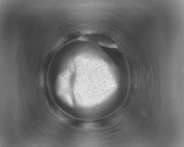 X0000054460268200508121945