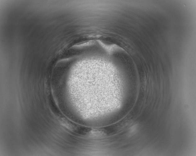 X0000054460270200508121945