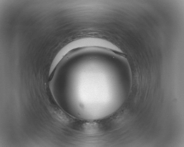 X0000054460271200508121945