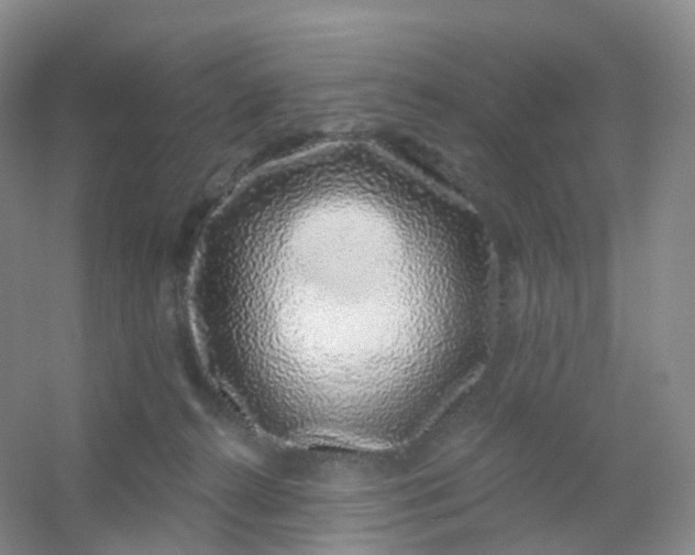 X0000054460272200508121945