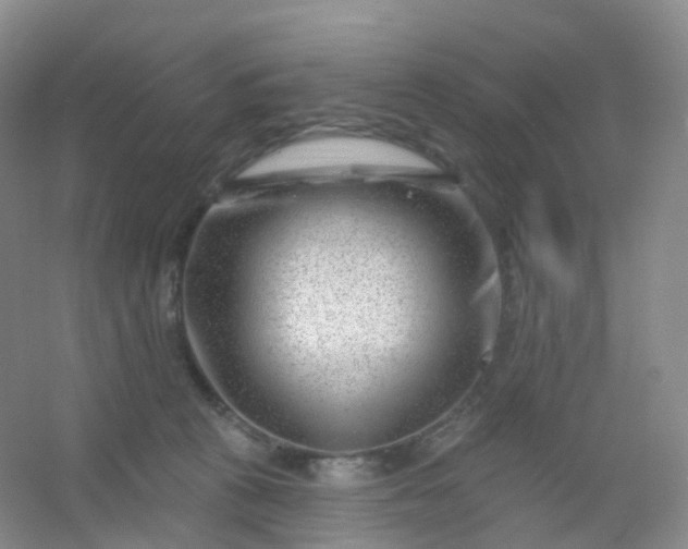 X0000054460273200508121945