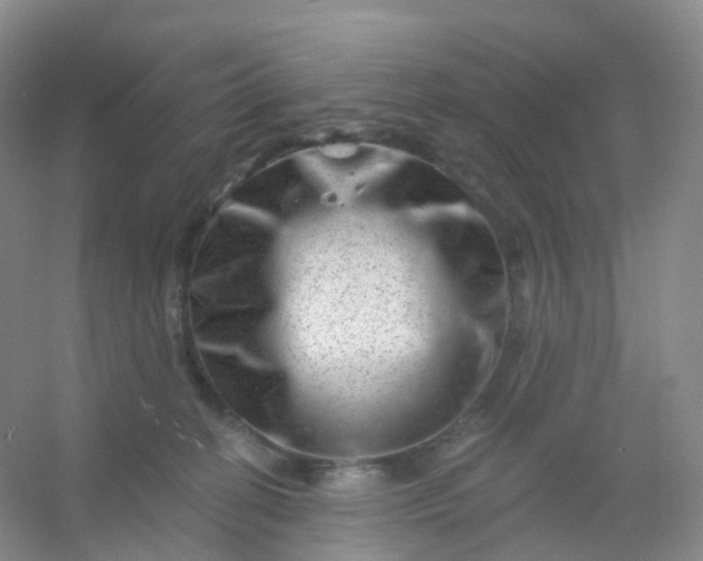 X0000054460274200508121945