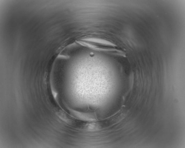 X0000054460275200508121945