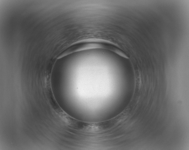 X0000054460276200508121945