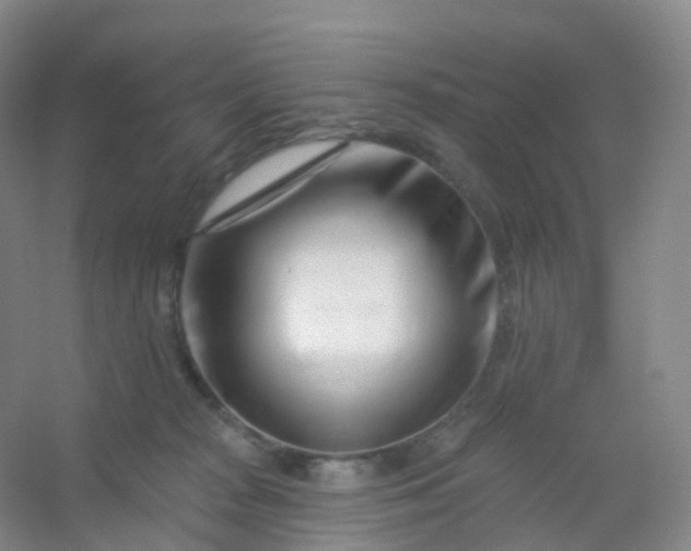 X0000054460277200508121945