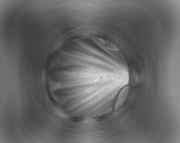 X0000054460278200508121945