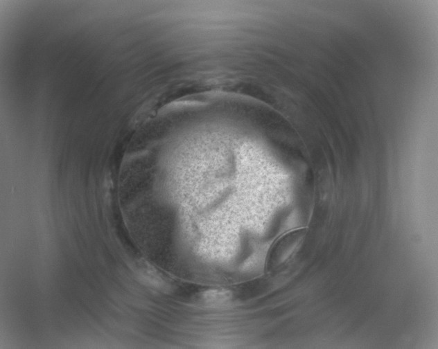 X0000054460279200508121945