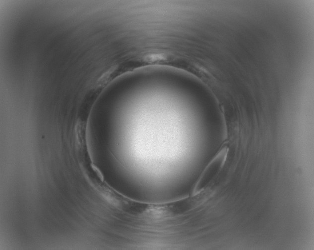 X0000054460280200508121945