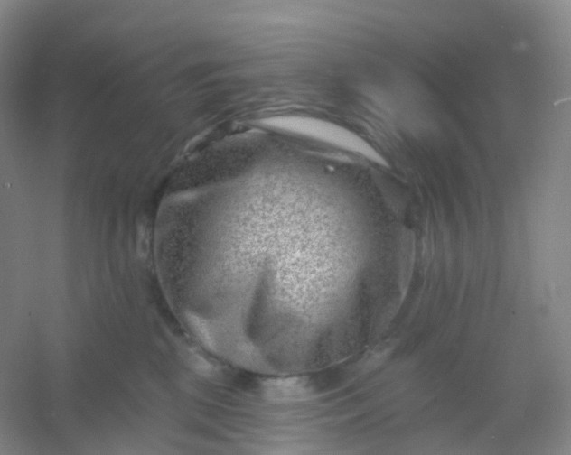 X0000054460281200508121945