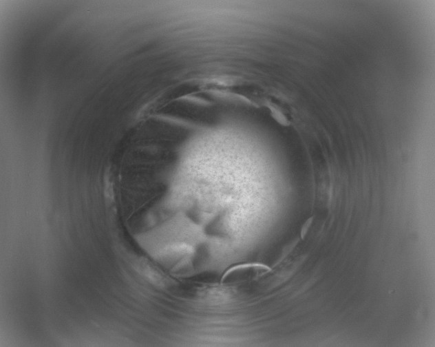 X0000054460282200508121945