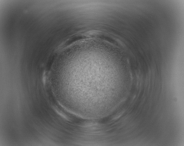 X0000054460284200508121945