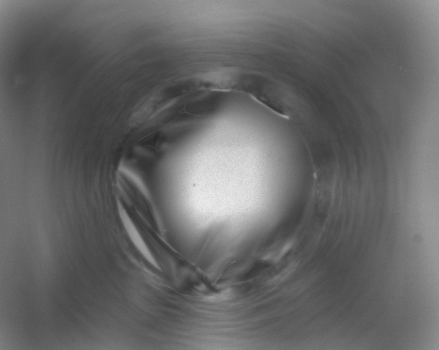 X0000054460285200508121945