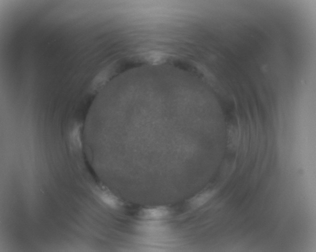 X0000054460286200508121945