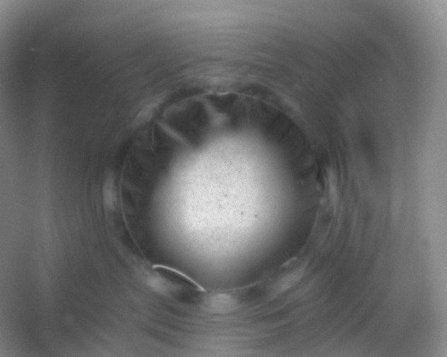 X0000054460287200508121945