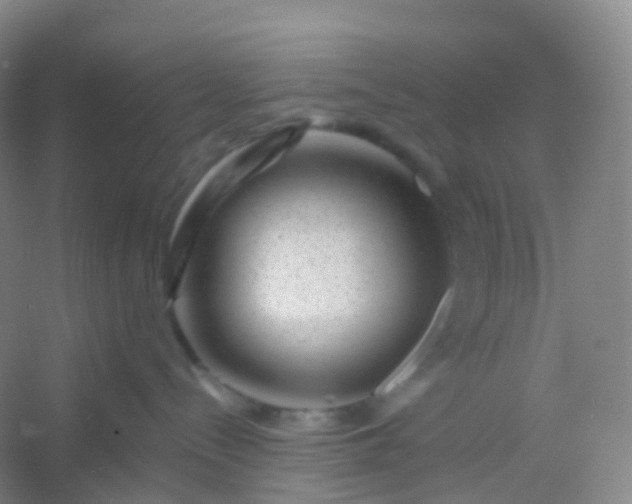 X0000054460288200508121945