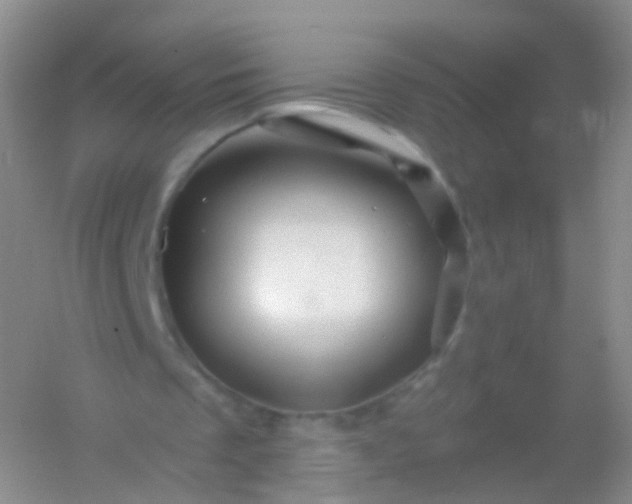 X0000054460289200508121944