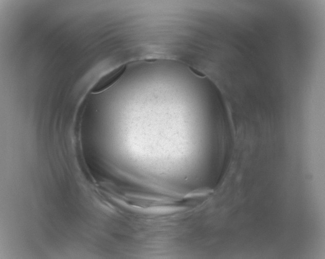 X0000054460290200508121944