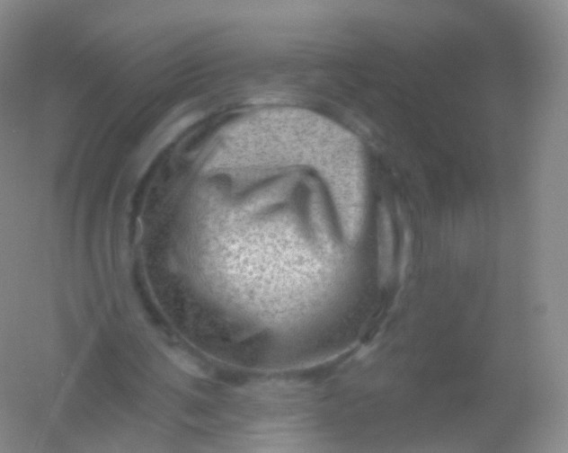 X0000054460291200508121944