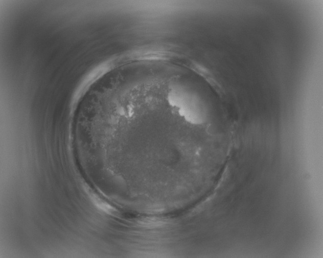 X0000054460293200508121944