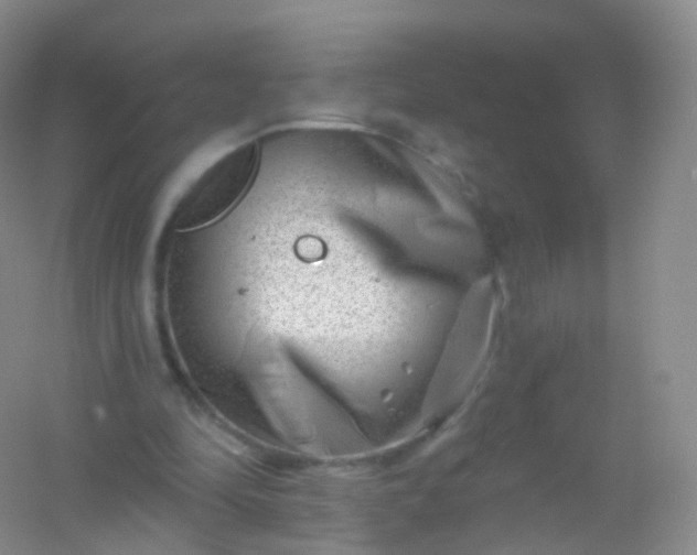 X0000054460294200508121944