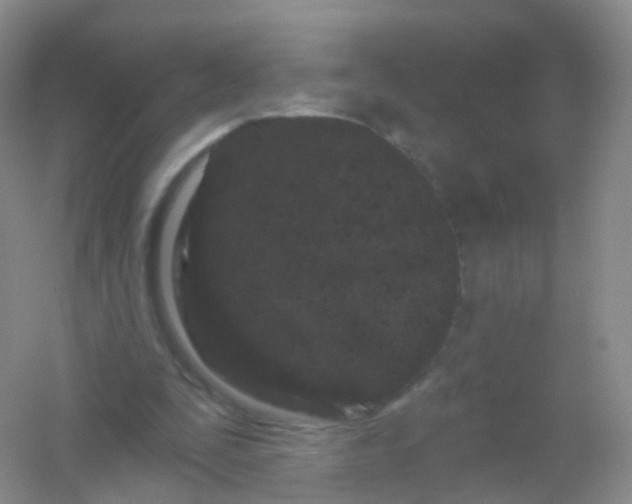 X0000054460295200508121944