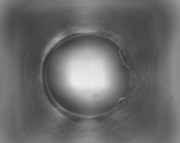 X0000054460296200508121944