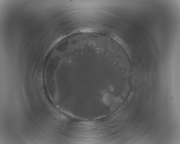 X0000054460297200508121944