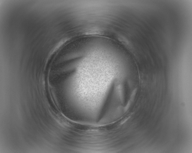 X0000054460298200508121944