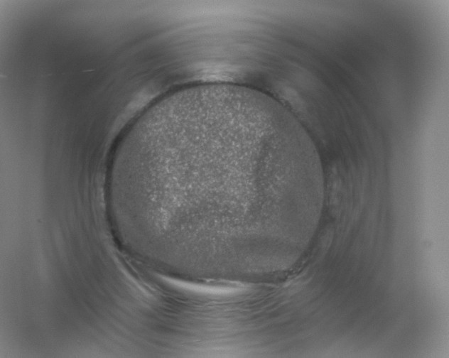 X0000054460299200508121944