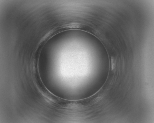 X0000054460300200508121944