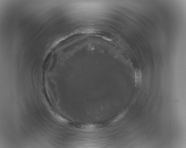 X0000054460301200508121944