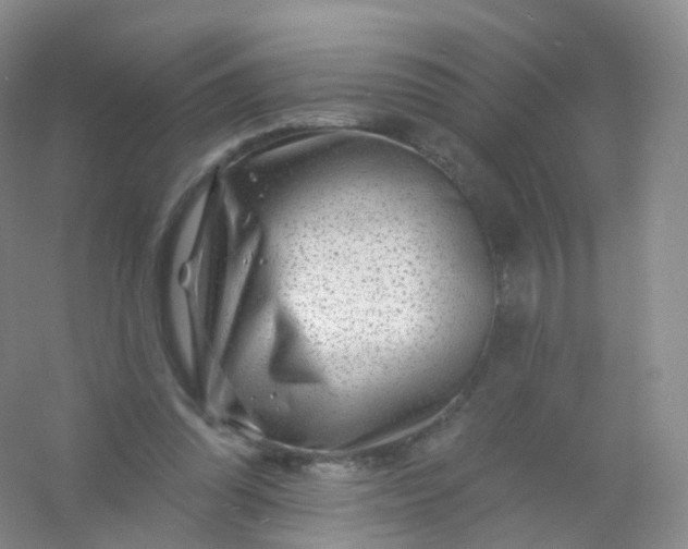 X0000054460302200508121944