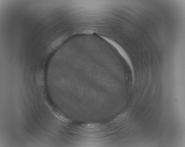 X0000054460303200508121944