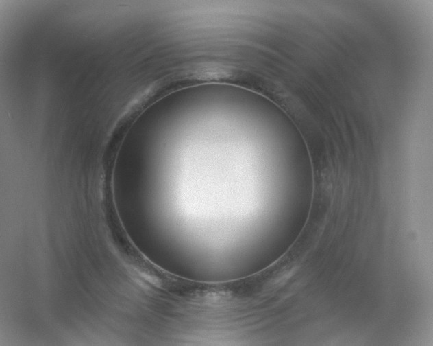 X0000054460304200508121944