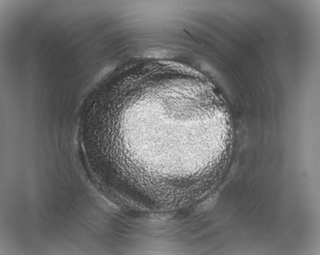 X0000054460305200508121944