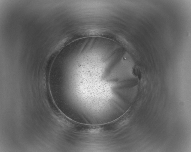 X0000054460306200508121944