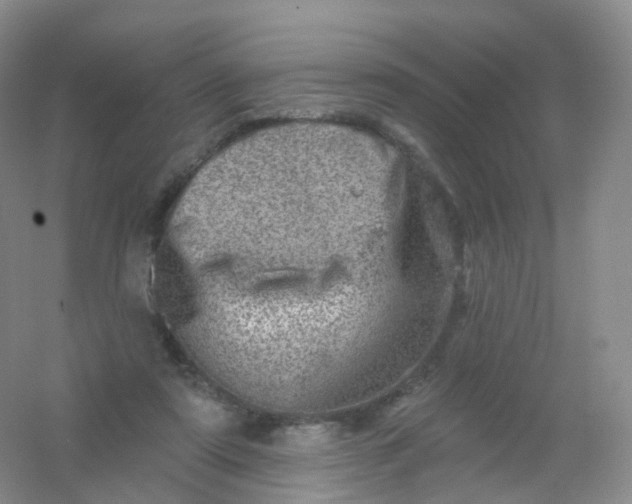 X0000054460307200508121944