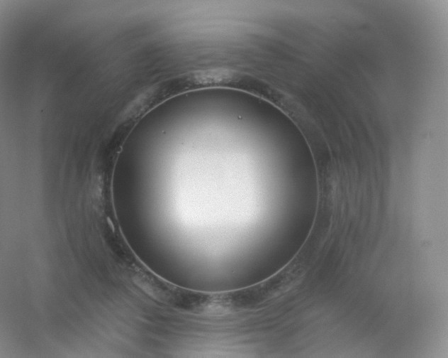 X0000054460308200508121944