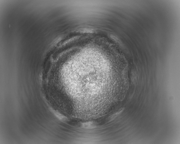 X0000054460309200508121944