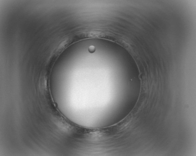 X0000054460310200508121944