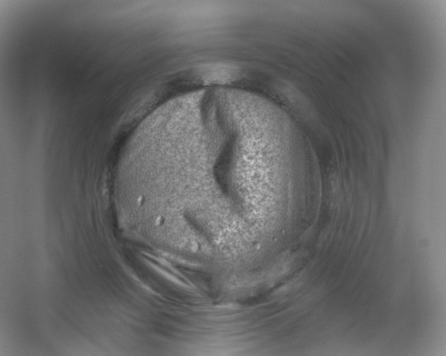 X0000054460311200508121944