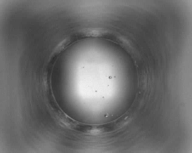 X0000054460312200508121944