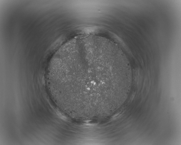 X0000054460313200508121944