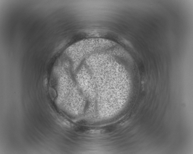 X0000054460314200508121944