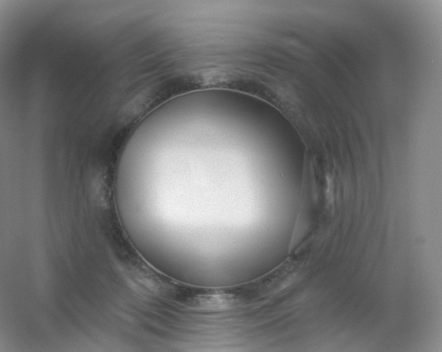 X0000054460316200508121944