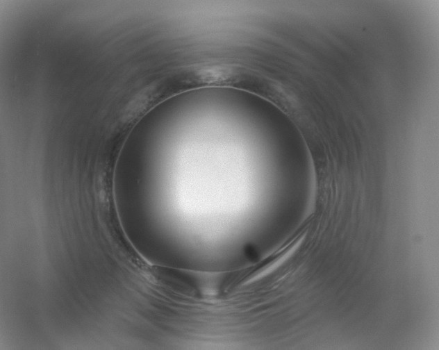 X0000054460317200508121944