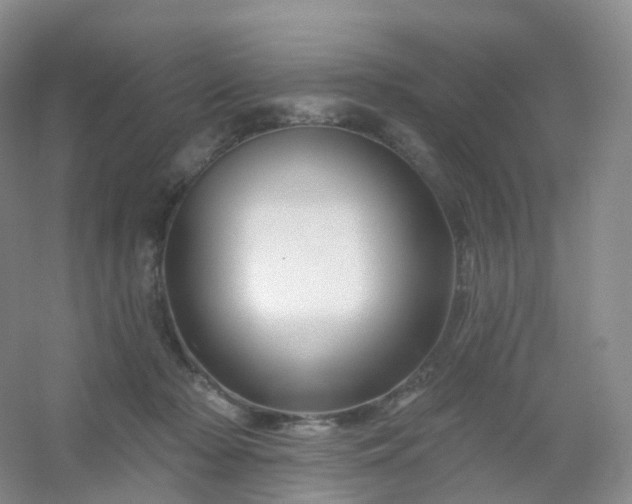 X0000054460318200508121944