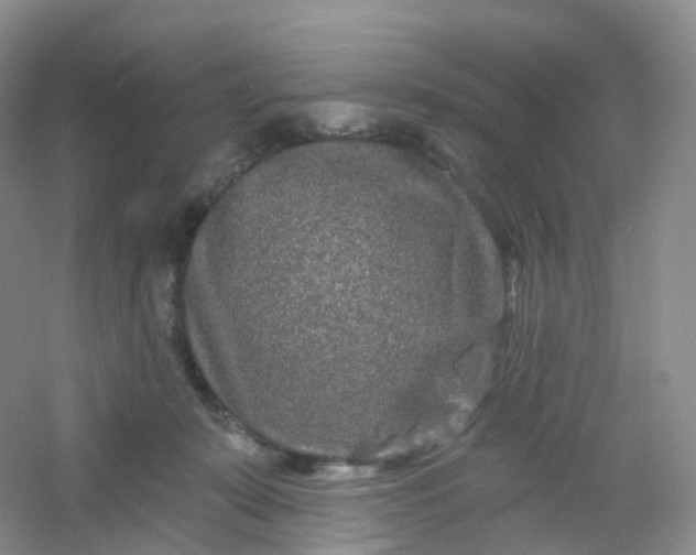 X0000054460319200508121944