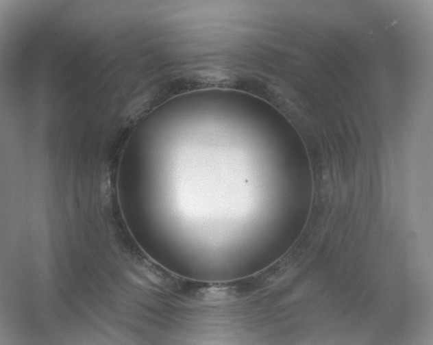 X0000054460320200508121944