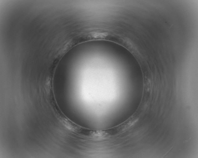 X0000054460321200508121944